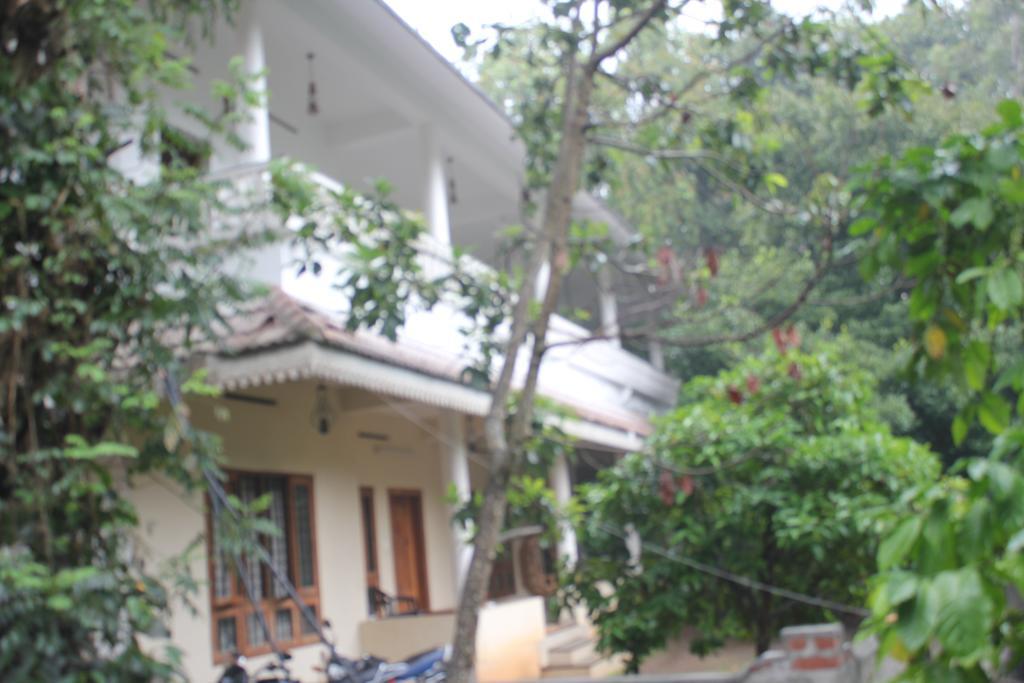 Horn Bill Thekkady