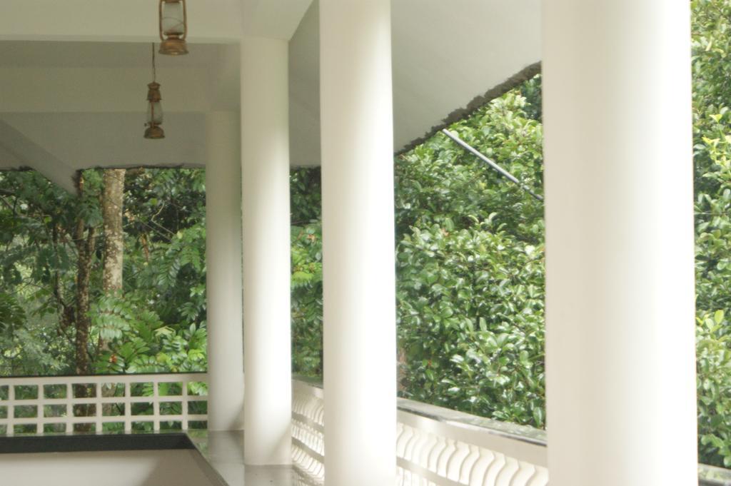 Horn Bill Thekkady